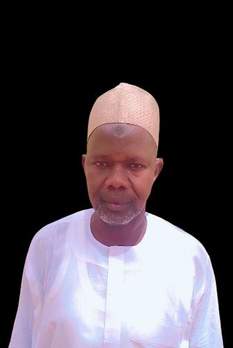 Raubilu Madaki